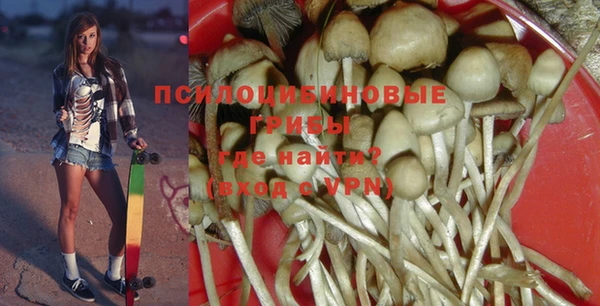героин Алзамай