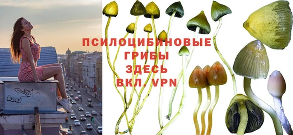 таблы Алексин